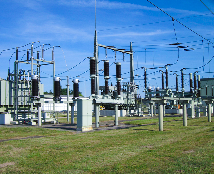 Power Grids